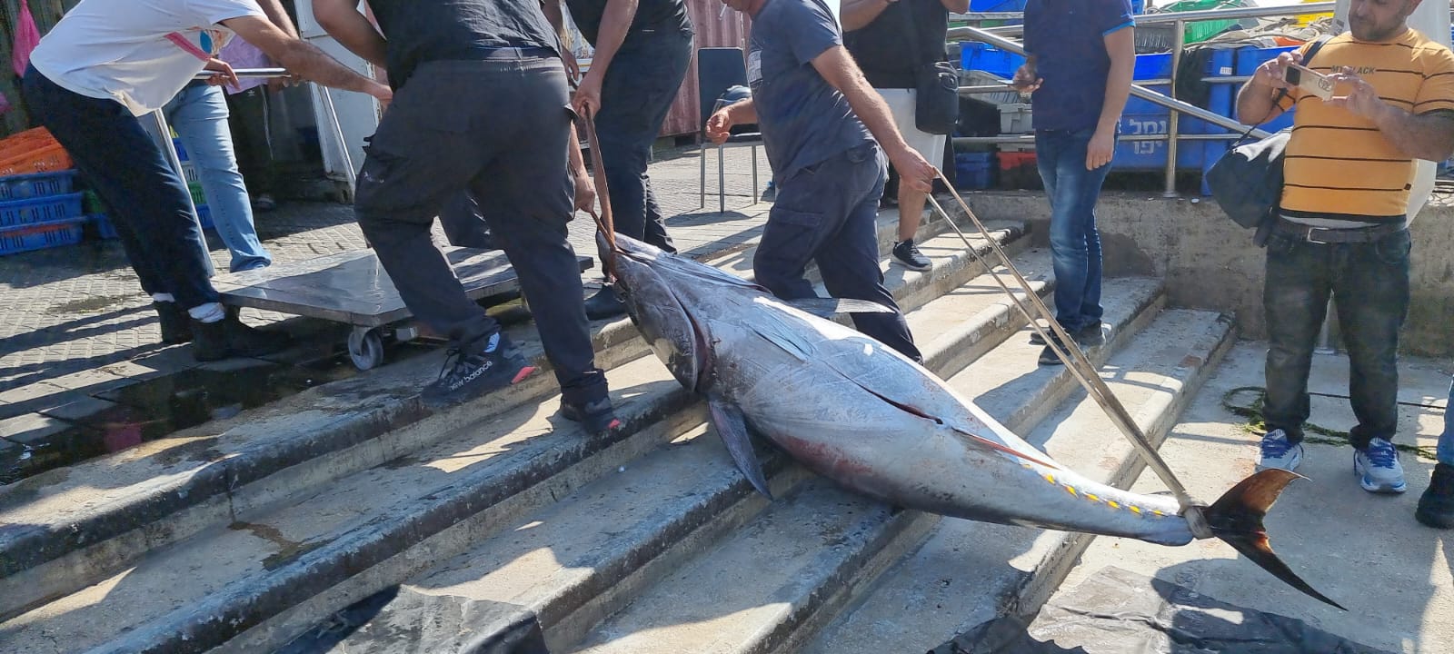 WhatsApp Image 2022-05-25 at 4.39.10 PM (1).jpeg